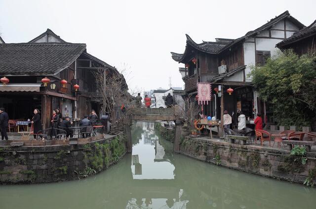 动物帮帮忙保卫家园
